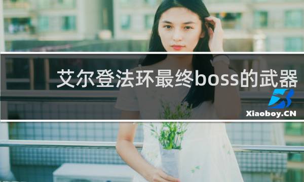 艾尔登法环最终boss的武器