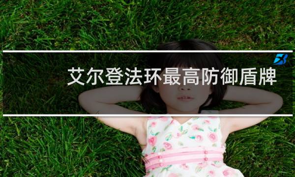 艾尔登法环最高防御盾牌
