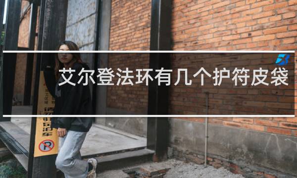 艾尔登法环有几个护符皮袋