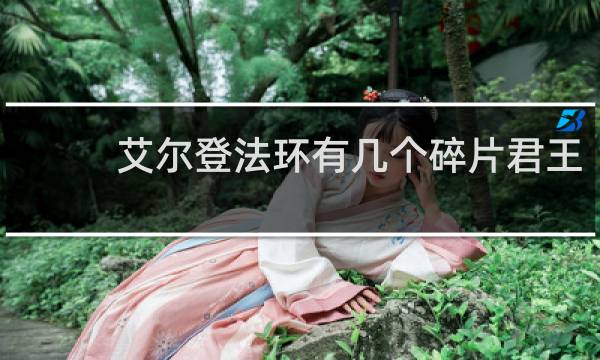 艾尔登法环有几个碎片君王