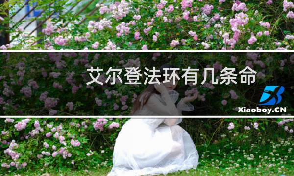 艾尔登法环有几条命
