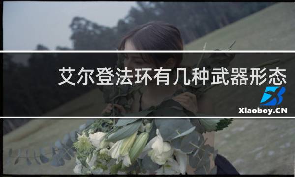 艾尔登法环有几种武器形态