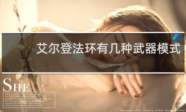 艾尔登法环有几种武器模式