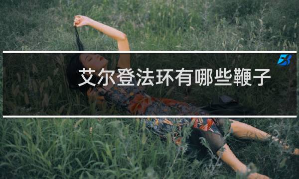 艾尔登法环有哪些鞭子