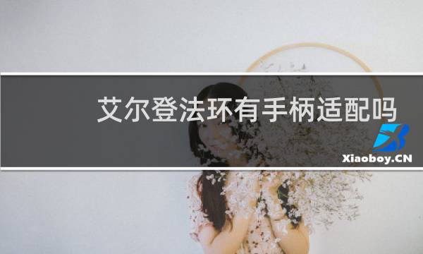 艾尔登法环有手柄适配吗