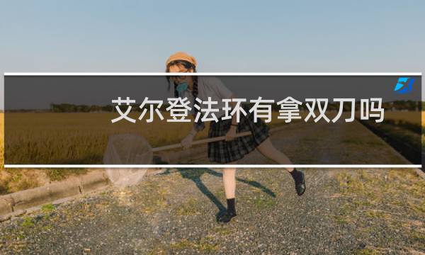 艾尔登法环有拿双刀吗