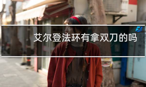 艾尔登法环有拿双刀的吗