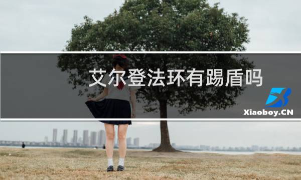 艾尔登法环有踢盾吗