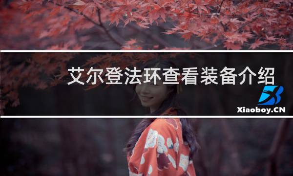 艾尔登法环查看装备介绍
