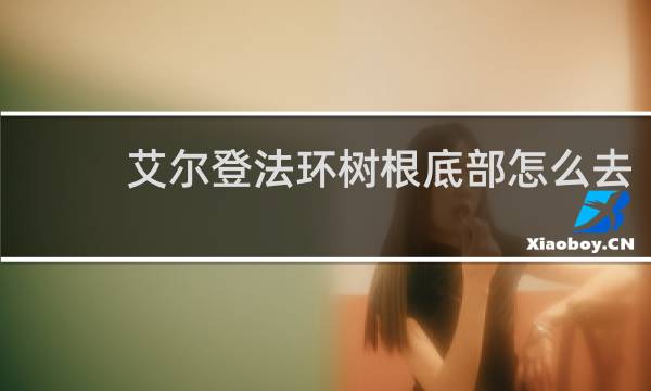 艾尔登法环树根底部怎么去