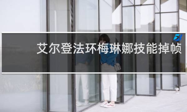 艾尔登法环梅琳娜技能掉帧