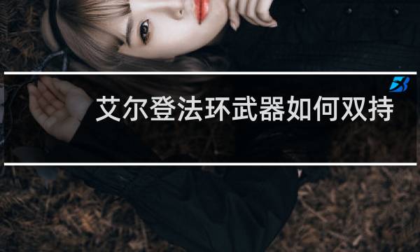 艾尔登法环武器如何双持