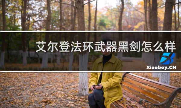 艾尔登法环武器黑剑怎么样