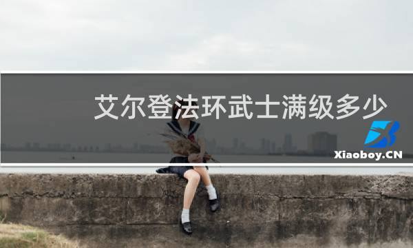 艾尔登法环武士满级多少