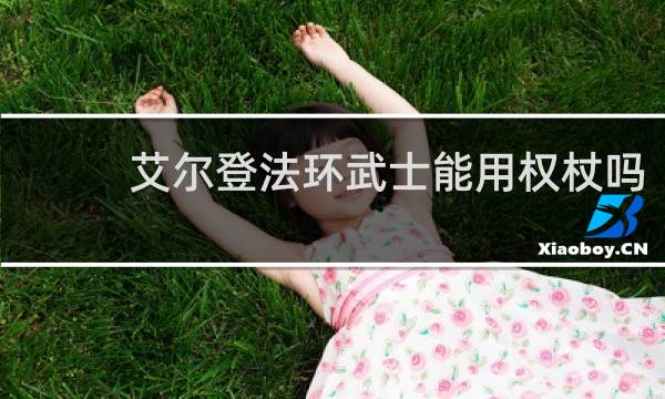 艾尔登法环武士能用权杖吗