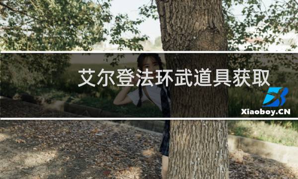 艾尔登法环武道具获取