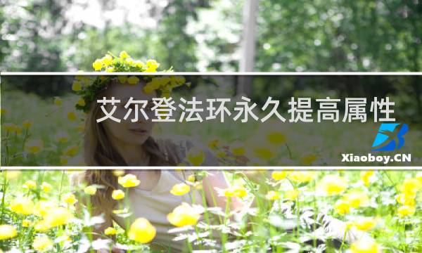 艾尔登法环永久提高属性
