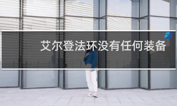 艾尔登法环没有任何装备