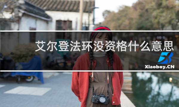 艾尔登法环没资格什么意思