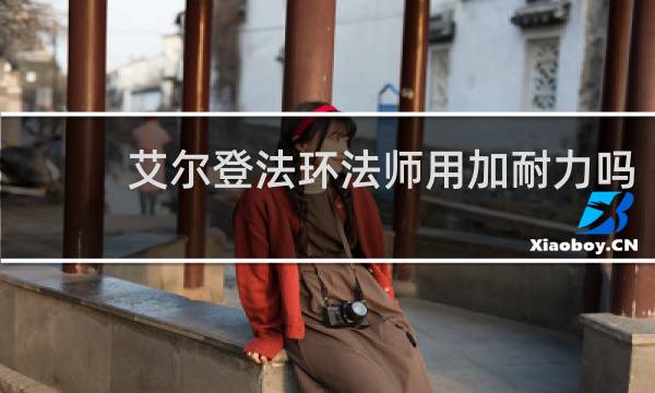 艾尔登法环法师用加耐力吗