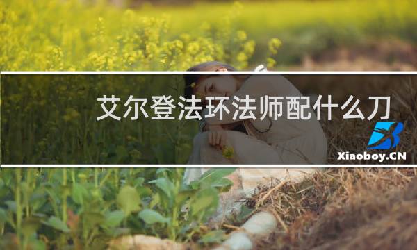 艾尔登法环法师配什么刀