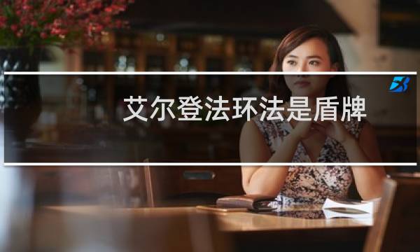 艾尔登法环法是盾牌