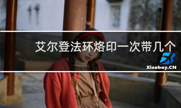 艾尔登法环烙印一次带几个