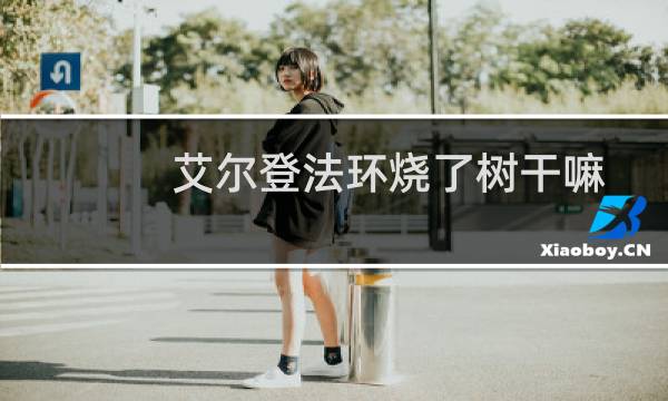 艾尔登法环烧了树干嘛
