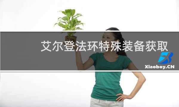 艾尔登法环特殊装备获取