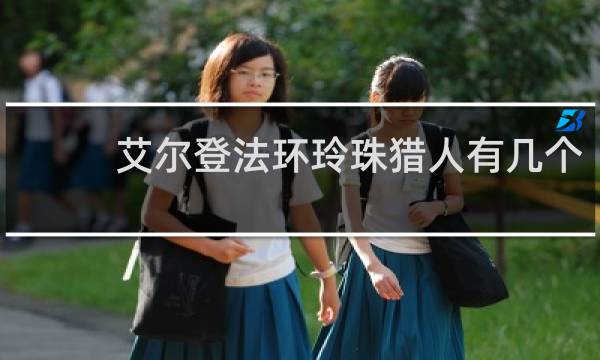 艾尔登法环玲珠猎人有几个
