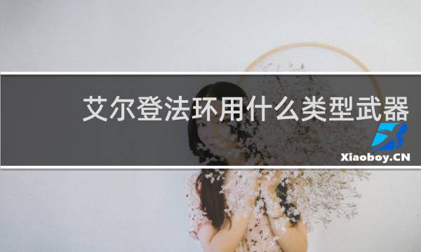 艾尔登法环用什么类型武器