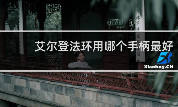 艾尔登法环用哪个手柄最好
