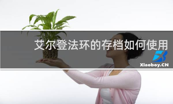 艾尔登法环的存档如何使用
