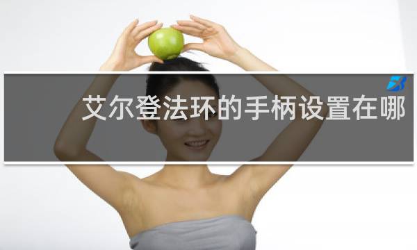 艾尔登法环的手柄设置在哪