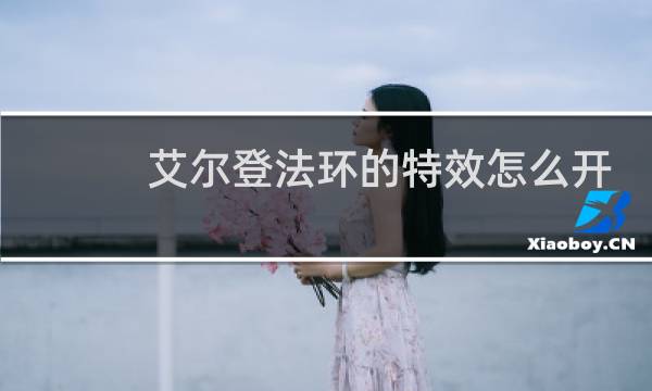 艾尔登法环的特效怎么开