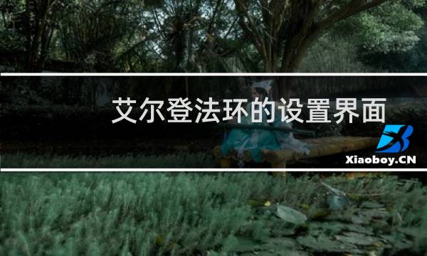 艾尔登法环的设置界面