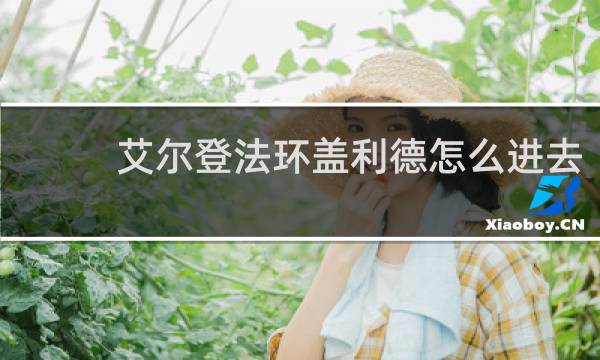 艾尔登法环盖利德怎么进去