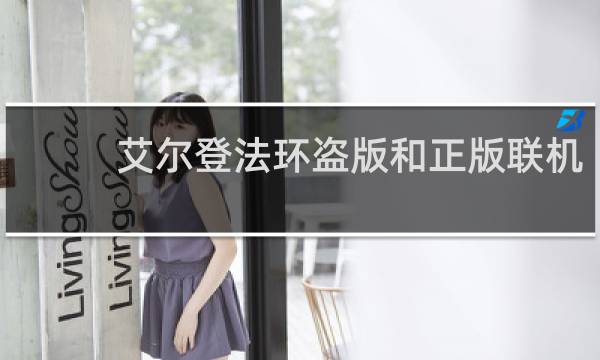 艾尔登法环盗版和正版联机