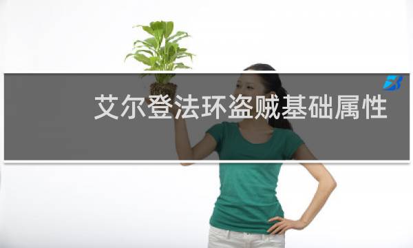 艾尔登法环盗贼基础属性