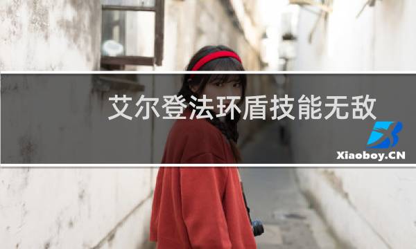 艾尔登法环盾技能无敌