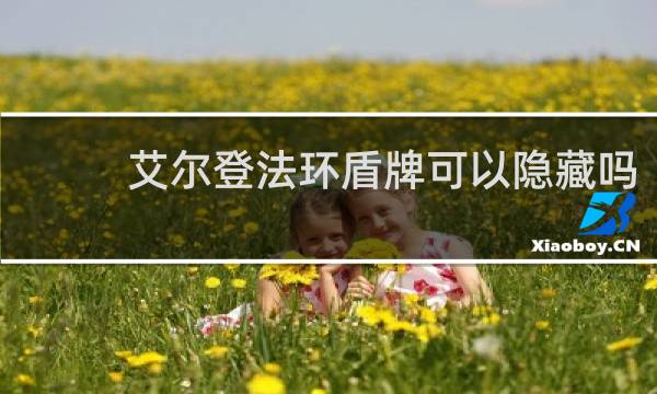 艾尔登法环盾牌可以隐藏吗