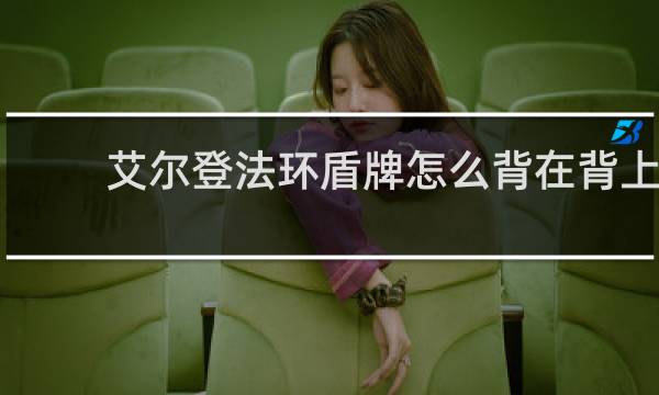 艾尔登法环盾牌怎么背在背上