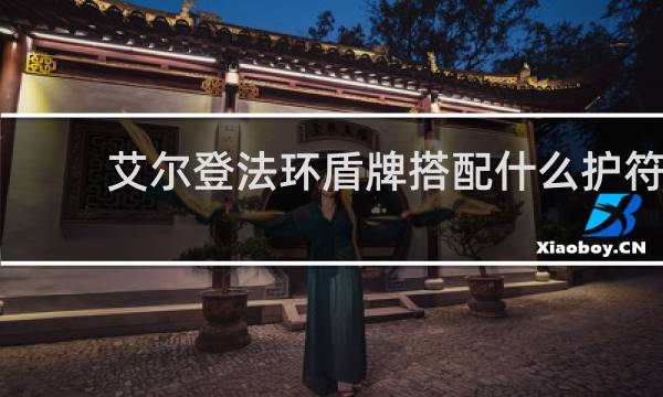 艾尔登法环盾牌搭配什么护符