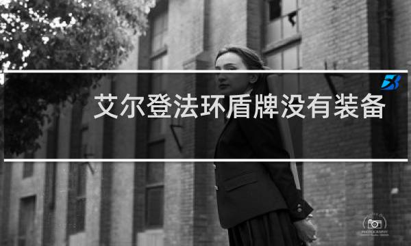 艾尔登法环盾牌没有装备