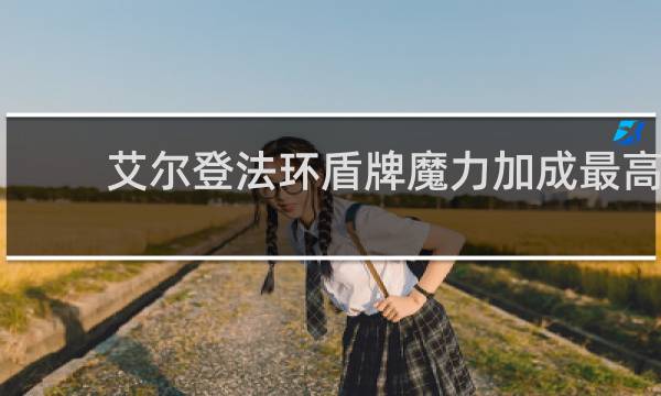艾尔登法环盾牌魔力加成最高