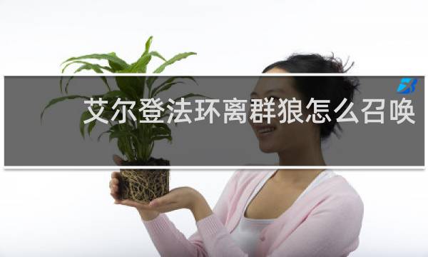 艾尔登法环离群狼怎么召唤