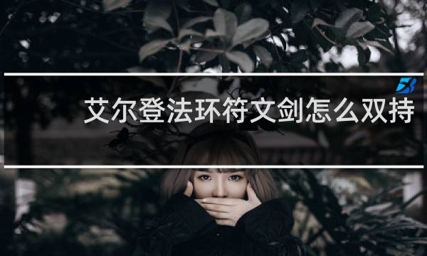 艾尔登法环符文剑怎么双持