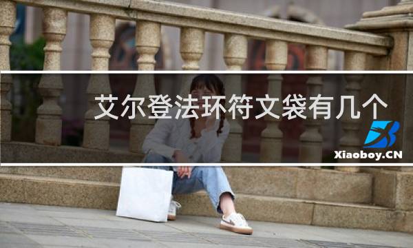 艾尔登法环符文袋有几个