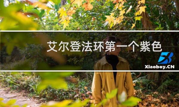 艾尔登法环第一个紫色