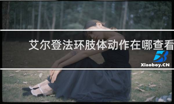 艾尔登法环肢体动作在哪查看